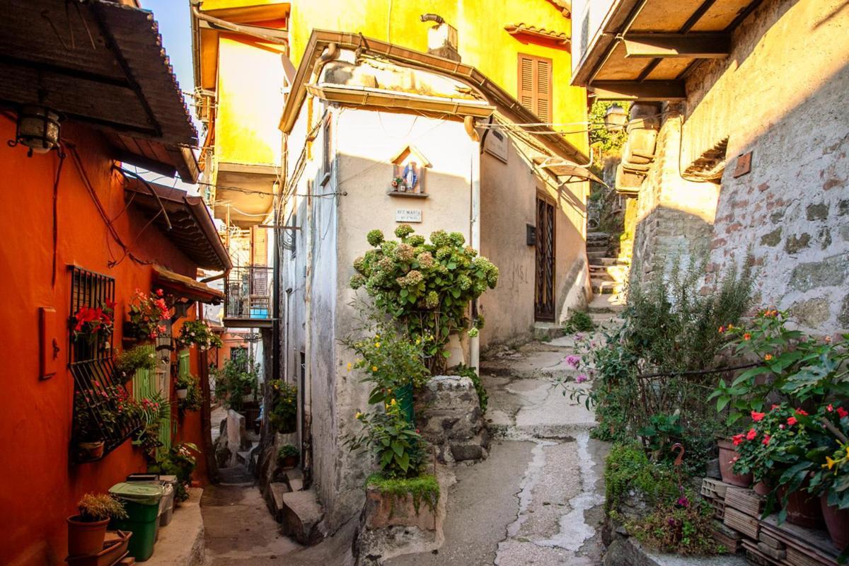 Casa Lella Apartment Rocca Di Papa Bagian luar foto